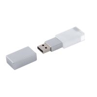 2GB Engraved Crystal USB Flash Drive