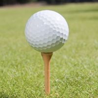 2pcs Golf Ball With Plastic Tube