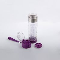 23 oz. Fruit Infuser Water Bottle