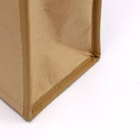 Insulated Kraft Paper Lunch Bag