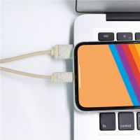3 In 1 Wheat Straw Charging Cable With Keychain