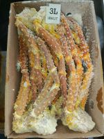 Gold king crab