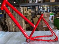 electric bicycle (Ebike) frame