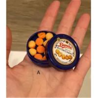 Miniature Cookie Tin Box with Doll Food Cookies box
