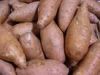 fresh Sweet Potatoes