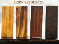 Buffalo Horn Plates for Optical Frames