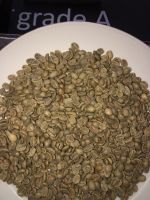 Arabica Coffee Beans