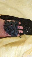 Recycled Polypropylene (PP)