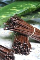 Ugandan Vanilla Bean Producer & Exporter USA, Indonesia, Canada, France, Germany, Australia +27631501216