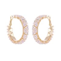 light luxury high-end temperament earrings