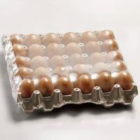 Hot Perforation POF Film