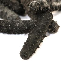 Hong Kong Qitai Liaoning Sea Cucumber No. 1