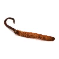 Hong Kong Qitai Cordyceps King