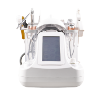 11 in 1 Small Bubble Vertical Hydro Dermabrasion Oxygen Facial Rejuvenation Machines