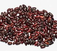 kidney beans for sale 