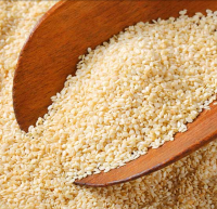 Top Quality Sesame seed in cheap price 
