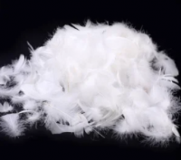 Hot selling Goose Feather