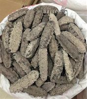 TOP QUALITY DRIED SEA CUCUMBER