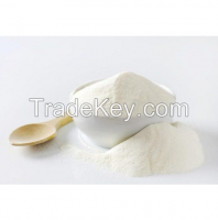 Top Quality Whey Protein Powder