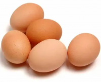 Organic Fresh Chicken Table Eggs