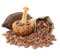 High Grade Cacao Raw Cocoa Beans