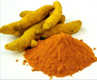 Hot Selling 100 % Pure and Natural Turmeric