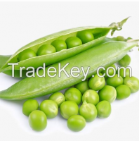 Green Peas for Sale