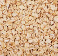 Top Quality Oats for Sale 