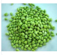 Board Beans 
