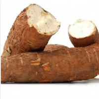 Selling Best Quality Fresh Cassava