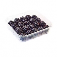 Natural Sweet Fresh Blackberry at Low Price