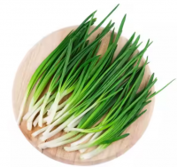 Fresh Scallion