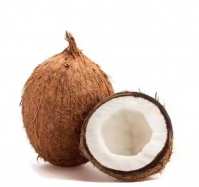 Fresh Coconut Mature Fully Husked