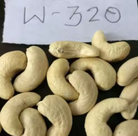 Wholesale Cashew Nuts W320 type Lowest Prices