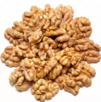 Wholesale Supplier Walnuts For Sale In Cheap Price 