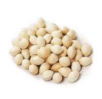 High Quality Ginkgo Nuts for Sale