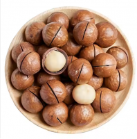 High Quality Dried Shell Macadamia Nuts Sweet Milky Flavor 