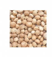  Whole Dried Betel Nut Areca Nuts for Wholesale