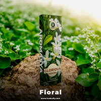 Glorious Mogra Incense Sticks