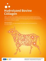 &acirc;€‹Wholesale Collagen from Fish Supplier