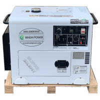 Silent Type 3KW 3000Watts LPG LNG Gasoline Dual Fuel Small Power Generators