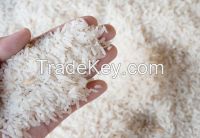 Jasmine rice and ST25