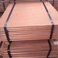 Copper Cathode