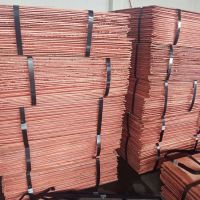 High Quality Pure Copper Cathode Cheap Price Electrolytic High Purity Cathode Copper 99.97%-99.99%