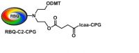 RBQ-C2-CPG Support-500A⁰