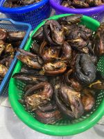smoked and fresh catfish