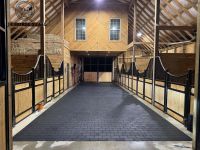 Horse Durable Bamboo Horse Equipment Outdoor