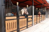 Classic European Horse Stable: Full-Access