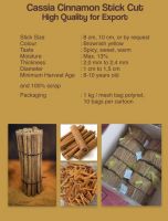 Cassia Cinnamon Stick (by request)