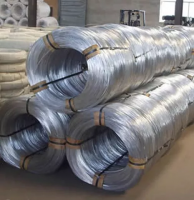 Zinc-coated steel wire 